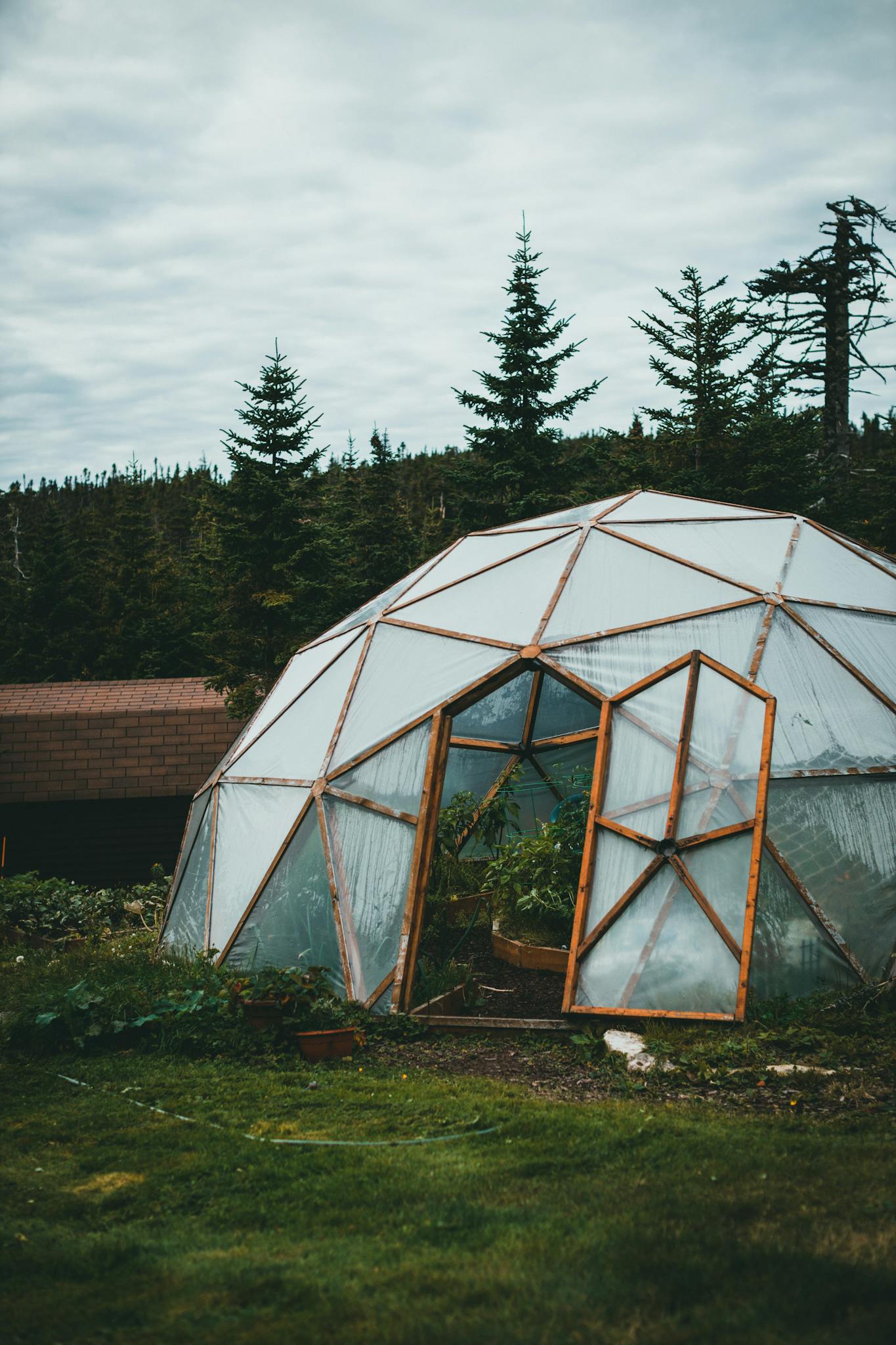 Geodesic dome greenhouse surrounded by lush greenery, set in a rural landscape.
