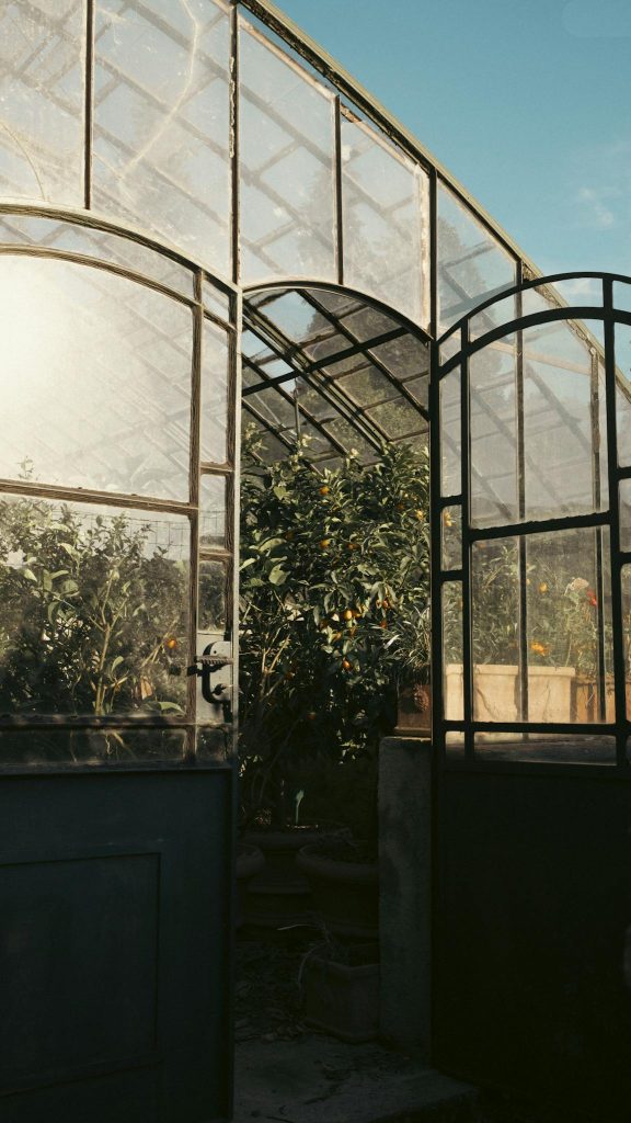 Open greenhouse doors reveal lush plants bathed in sunlight.
